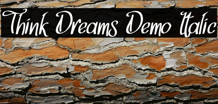 Think Dreams Demo Italic Example 3