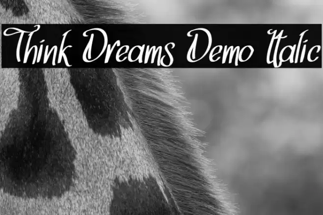 Think Dreams Demo Italic Font examples