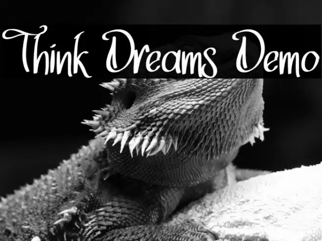 Think Dreams Demo Font examples