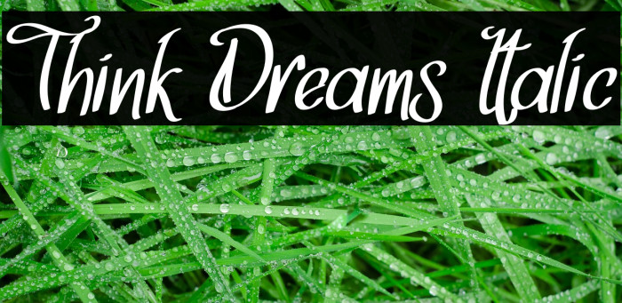 Think Dreams Italic फ़ॉन्ट examples
