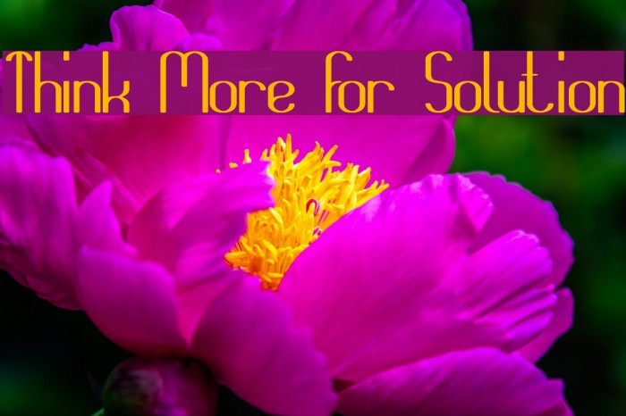 Think More For Solution Font examples