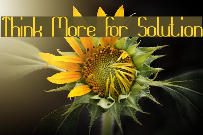 Think More For Solution Font examples
