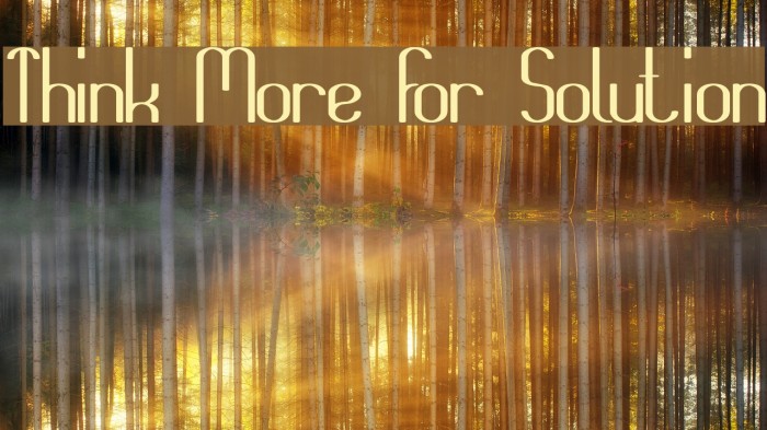Think More For Solution Font examples