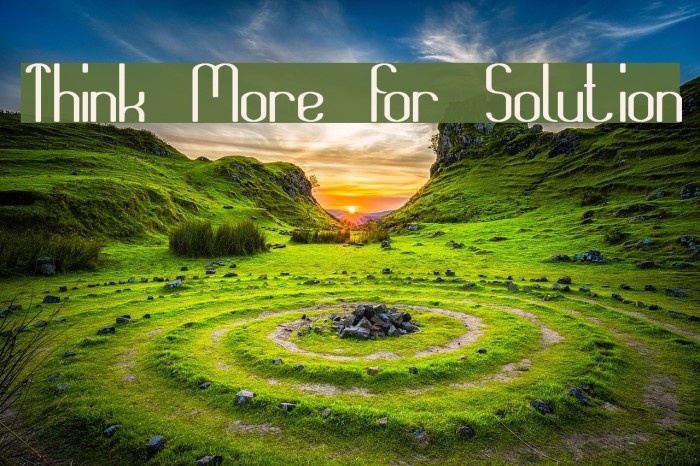 Think More for Solution Font examples