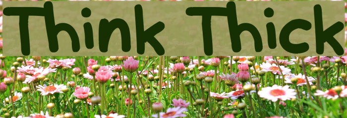 Think Thick Font examples