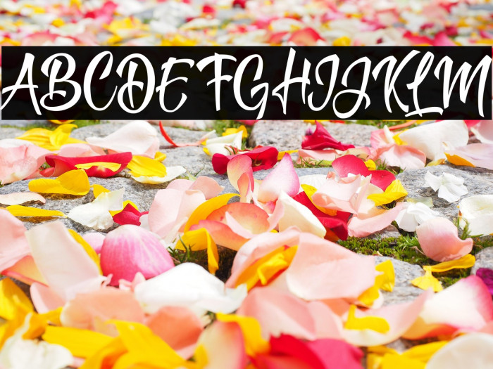 Think of You Personal Use Regular Example 2