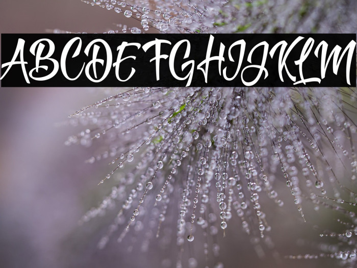 Think of You Personal Use Regular Example 3