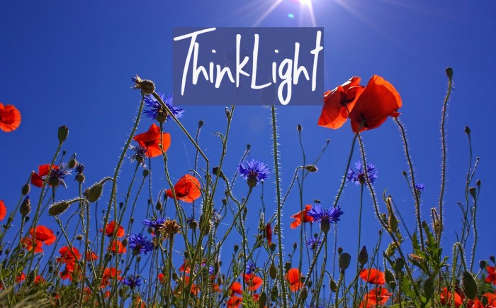 ThinkLight Font examples