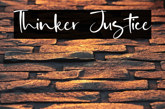 Thinker Justice Example 1