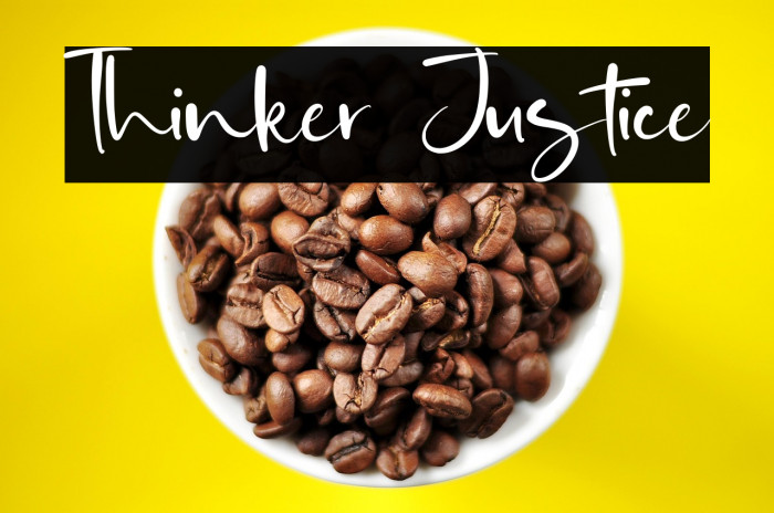 Thinker Justice Example 2