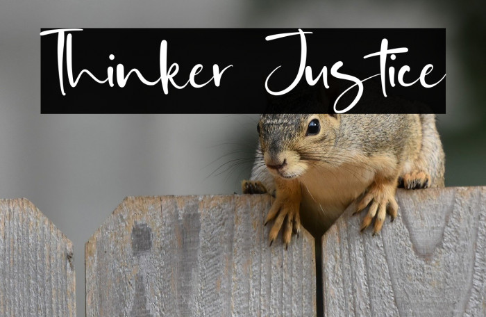 Thinker Justice Example 3