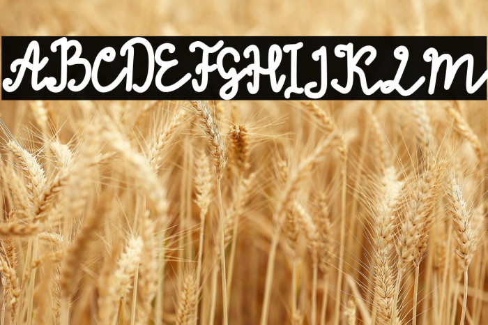 Thinna Bell Example 2