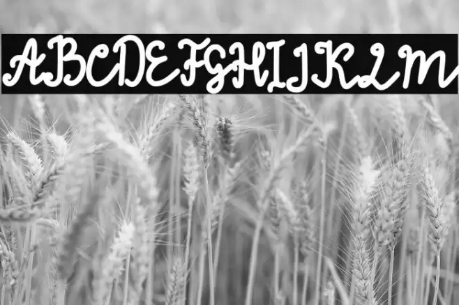 Thinna Bell Font examples