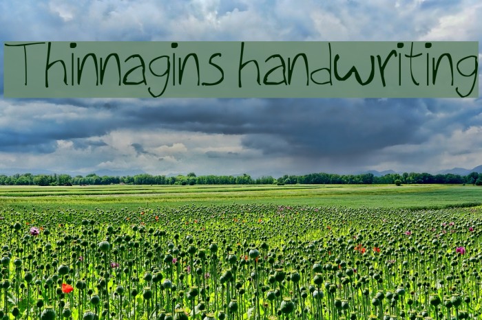 Thinnagins handwriting Font examples