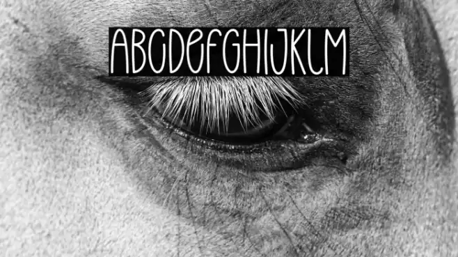 Thinner Quality Font examples