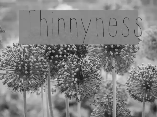 Thinnyness Font examples