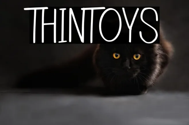 Thintoys Example 3