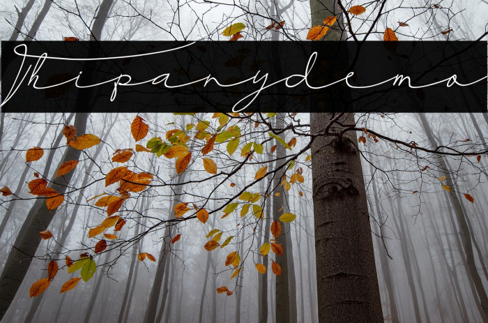 Thipanydemo Example 2