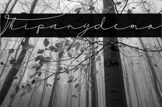 Thipanydemo Font examples