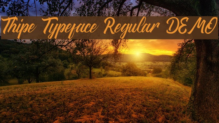 Thipe Typeface Regular DEMO Font examples