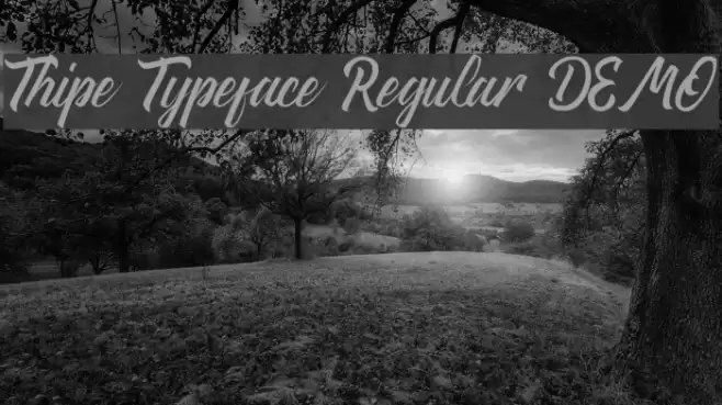 Thipe Typeface Regular DEMO Fuentes examples