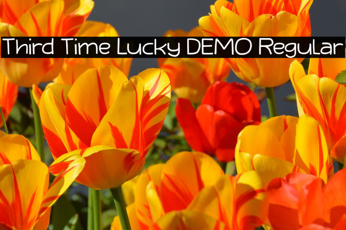 Third Time Lucky DEMO Regular Font examples