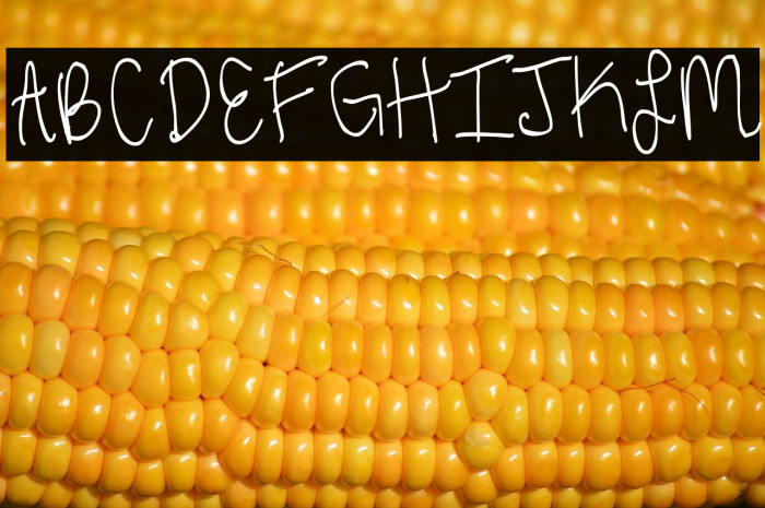 ThirdGradeHandwriting Example 1