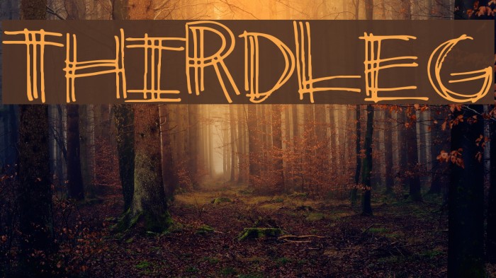 ThirdLeg Font examples