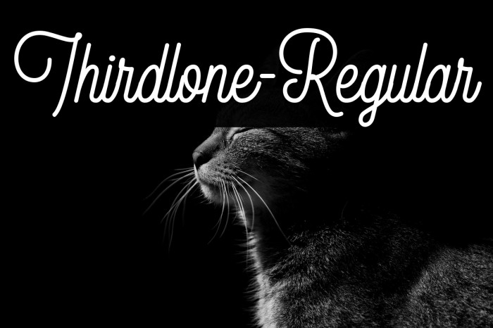 Thirdlone-Regular Example 3