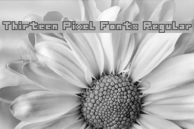 Thirteen Pixel Fonts Regular フォント examples