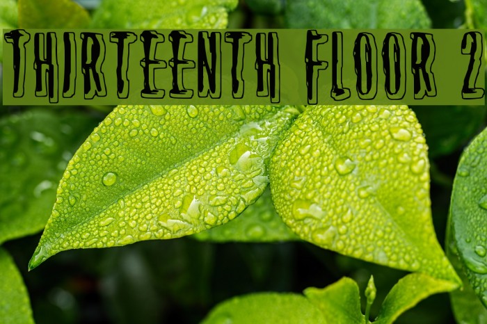 Thirteenth Floor 2 Example 3