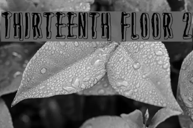 Thirteenth Floor 2 Font examples