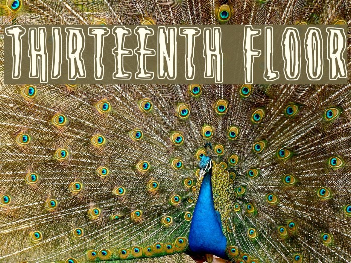 Thirteenth Floor Font examples