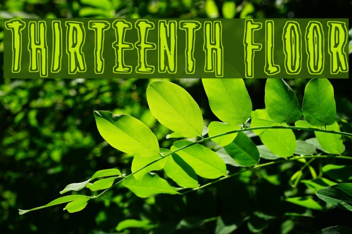 Thirteenth Floor Font examples