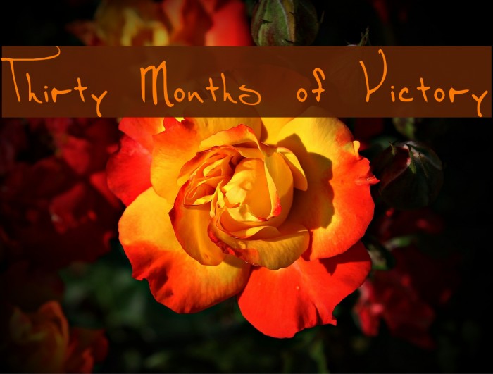 Thirty Months of Victory Font examples