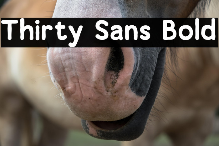 Thirty Sans Bold Example 1