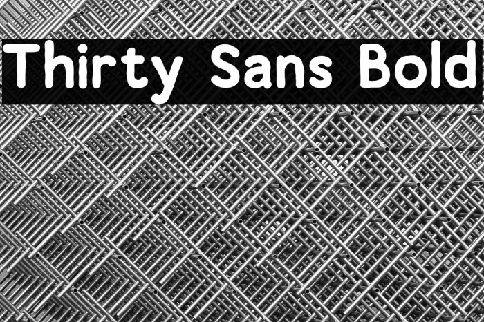 Thirty Sans Bold Example 2