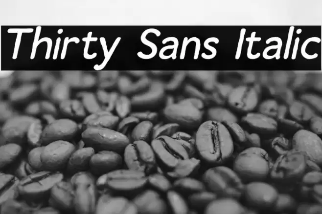 Thirty Sans Italic خط examples