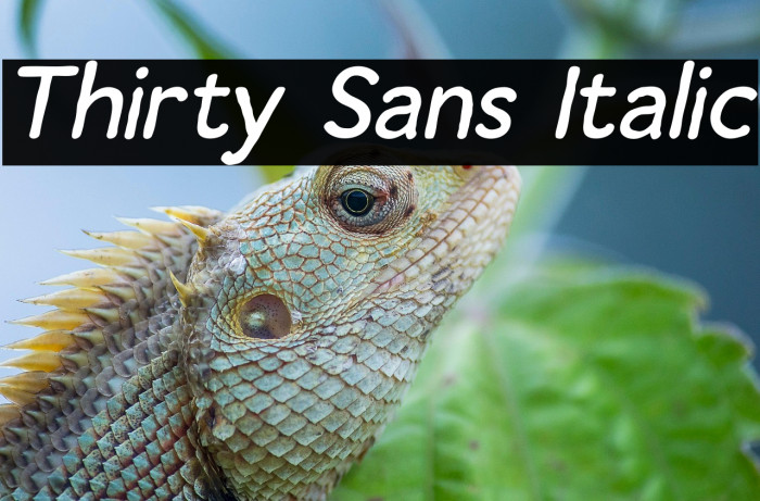 Thirty Sans Italic Example 2