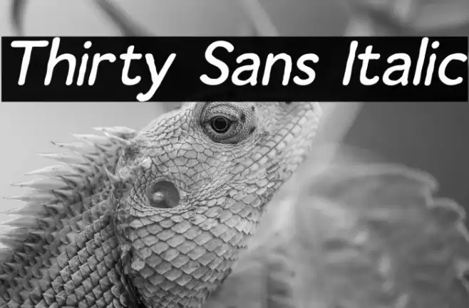 Thirty Sans Italic خط examples