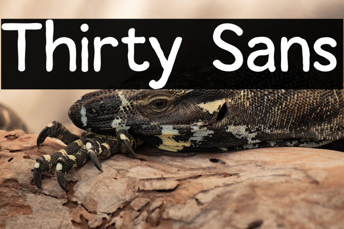 Thirty Sans Example 2