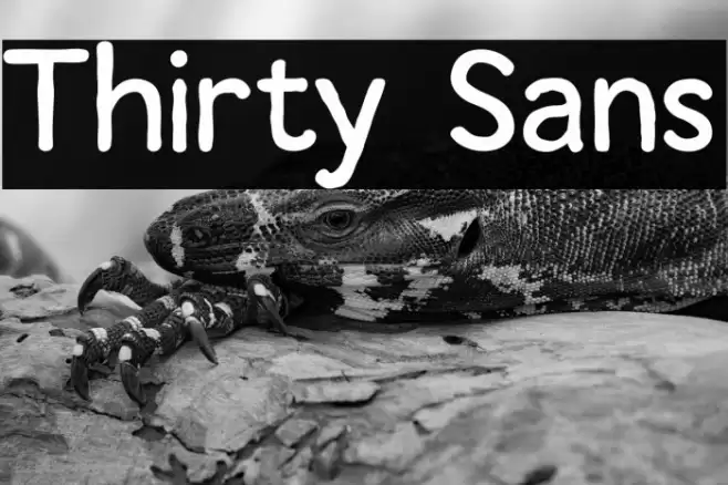 Thirty Sans Font examples