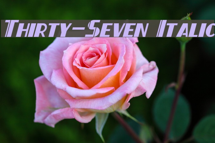 Thirty-Seven Italic Font examples