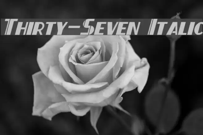 Thirty-Seven Italic Font examples