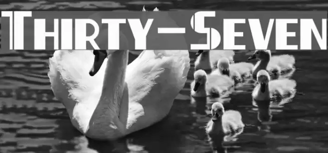 Thirty-Seven Font examples