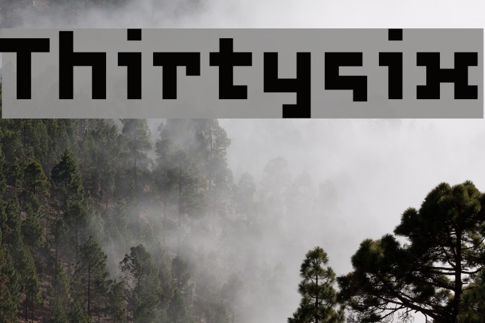 Thirtysix Font examples