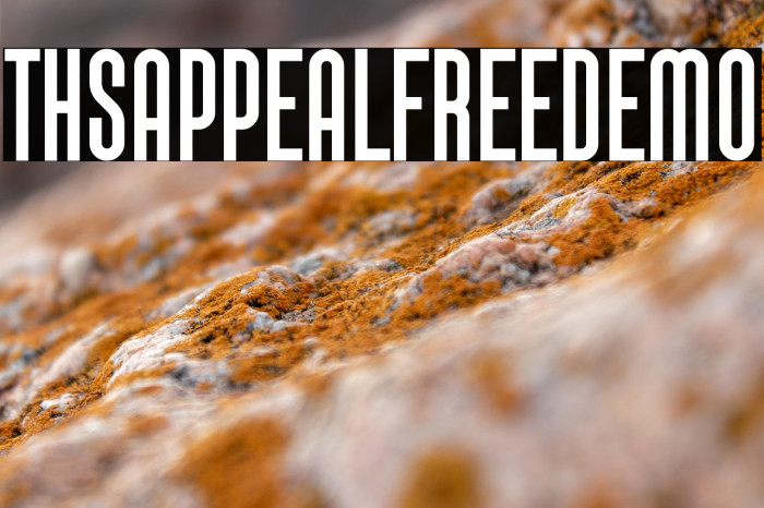 This Appeal Free Demo Example 1