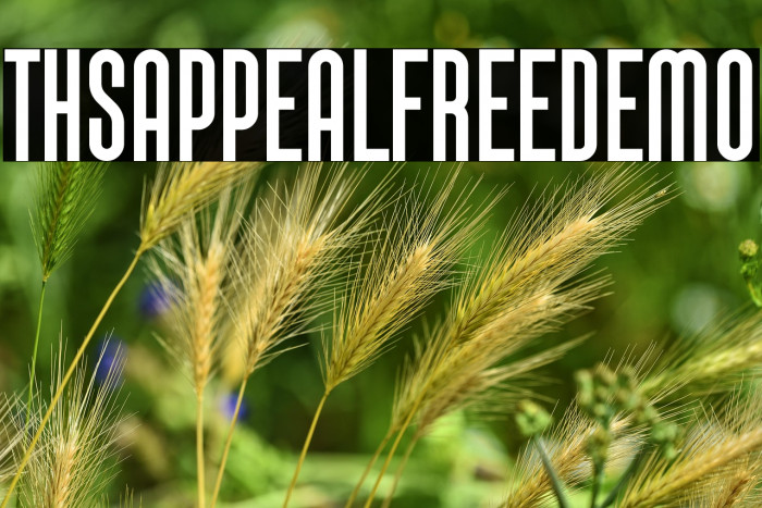 This Appeal Free Demo Example 2