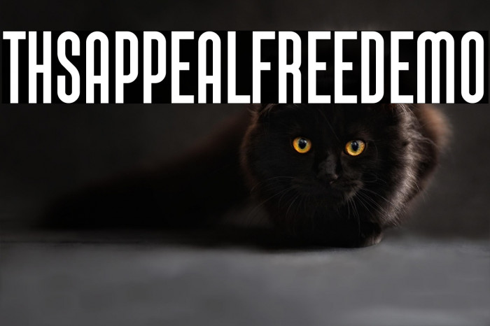 This Appeal Free Demo Example 3