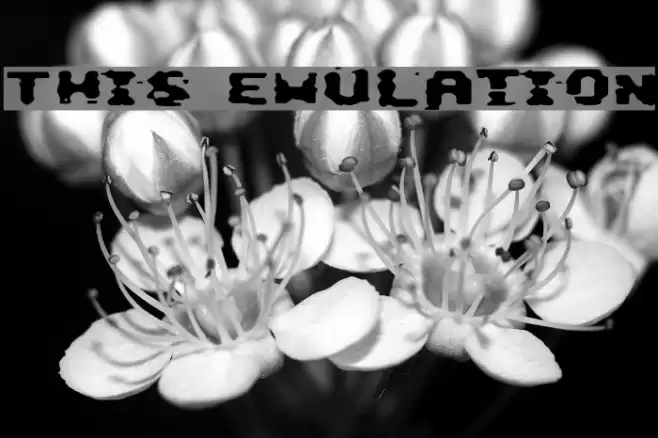 This Emulation Fuentes examples